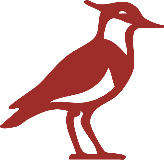 Laberinto PAMPA