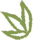 Laberinto PAMPA