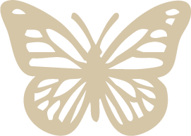 Laberinto PAMPA