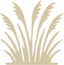 Laberinto PAMPA
